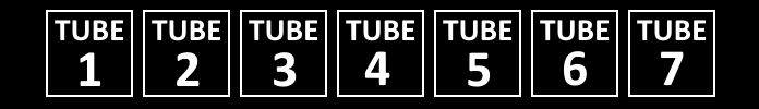 Porn Tube